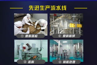 網(wǎng)絡(luò)技術(shù)服務(wù) 驅(qū)動數(shù)字化轉(zhuǎn)型的關(guān)鍵力量