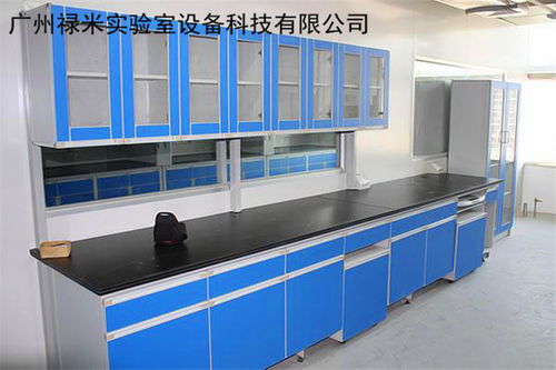 網(wǎng)絡(luò)技術(shù)服務(wù) 數(shù)字時代的核心驅(qū)動力與創(chuàng)新引擎